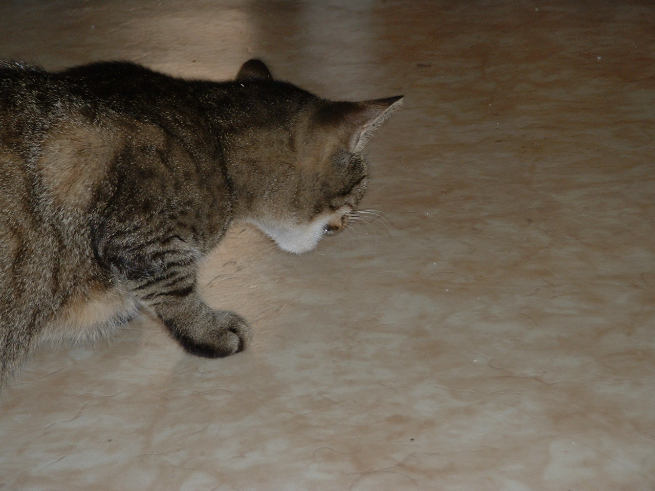 večeře.JPG